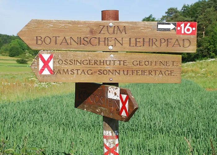 Hotel Koenigsteiner Hof 3*