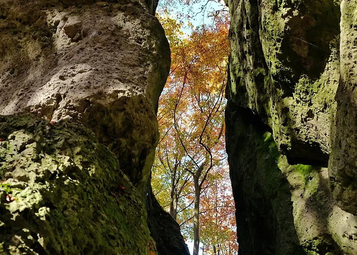 Koenigsteiner Hof Отель
